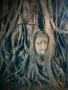 Lenka Vyhnalkova -Hlava Buddhy v kořenech stromu