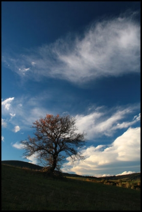 Stromy v krajině - Fotograf roku - junior - Na konci léta