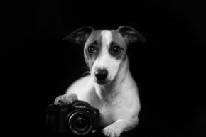Vidím to černobíle - Fotograf roku - Junior - XII.kolo - Rozený fotograf