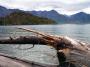Linda Grguričová - Jezero Wakatipu