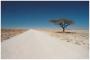 Afrika