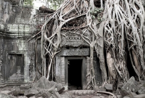 Stromy v krajině - Pohlcen v Angkoru
