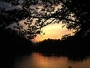 Štěpánka Eršeková -západ slunce nad boreckým rybníkem