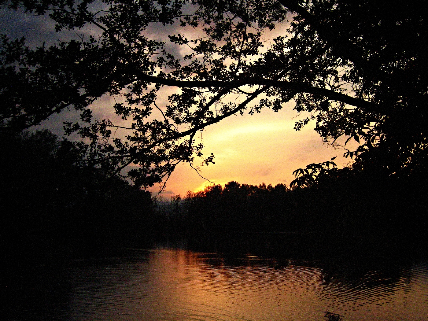západ slunce nad boreckým rybníkem