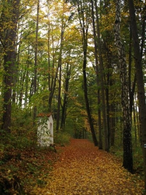 Pavel Tomeš - Podzimní stromy 3