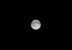 Fotograf roku v přírodě 2016 - Moon