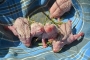 Mirka Chamrazova -Malí ježkovia