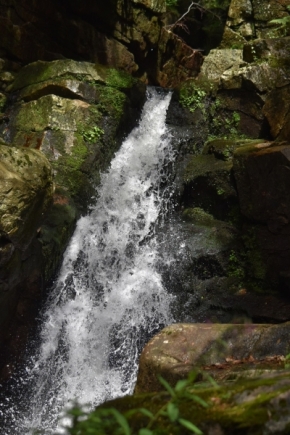 Fotograf roku v přírodě 2016 - krkonossky vodopad