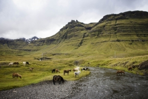Fotograf roku na cestách 2016 - Krásy Islandu I.