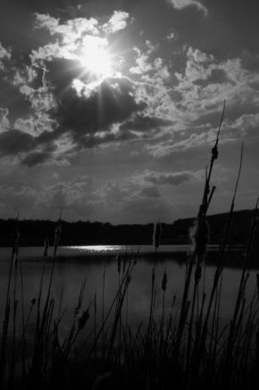 Fotograf roku v přírodě 2016 - Slunce nad jezerem