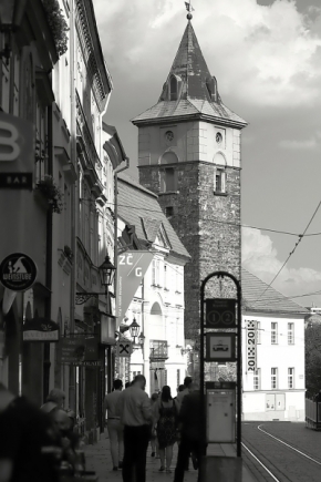 Vidím to černobíle - Plzeňské odpoledne v Pražské ulici