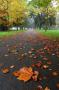 Park Ostrov