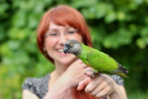 Zvěř a zvířátka divoká i blízká - Senegal parrot with girl