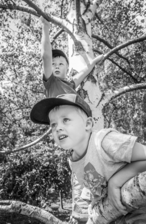 Dětské pohledy i radosti - Na stromě