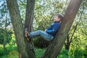 Dětské pohledy i radosti - Na stromě II