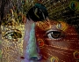 Dana Klimešová -barevné kouzlení...je to jen můj sen