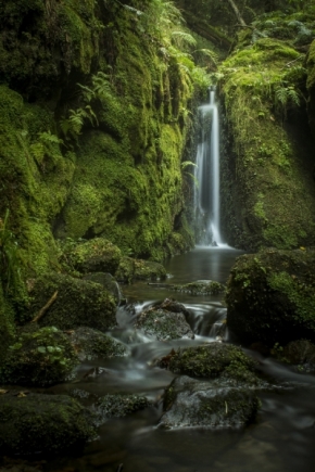 Divoká příroda inspiruje - Vodopád tajemství