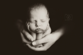 S Fomei černobíle - newborn portret