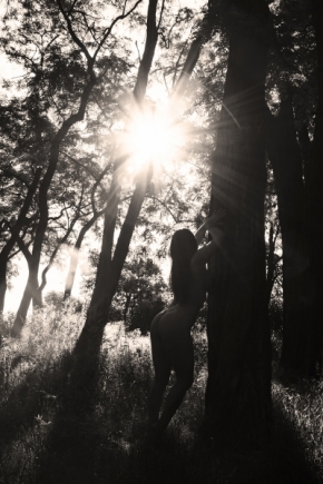 Kateřina Fišerová - ráno v lese