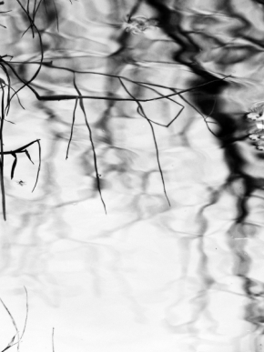 Voda a její odrazy - Fotograf roku - Junior - VIII.kolo - zblízka
