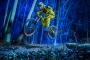 Petr Hrubeš -Na skok v lese