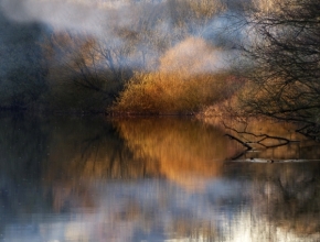 Voda a její odrazy - Fotograf roku - Kreativita - VIII.kolo - Jarní zrcadlení