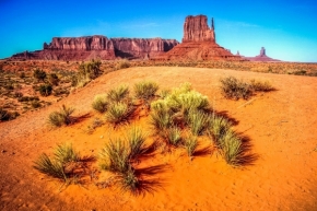 Objekty v krajině zasazené - Mesa monument se zelenými křovinami zasazený v Navajo poušti