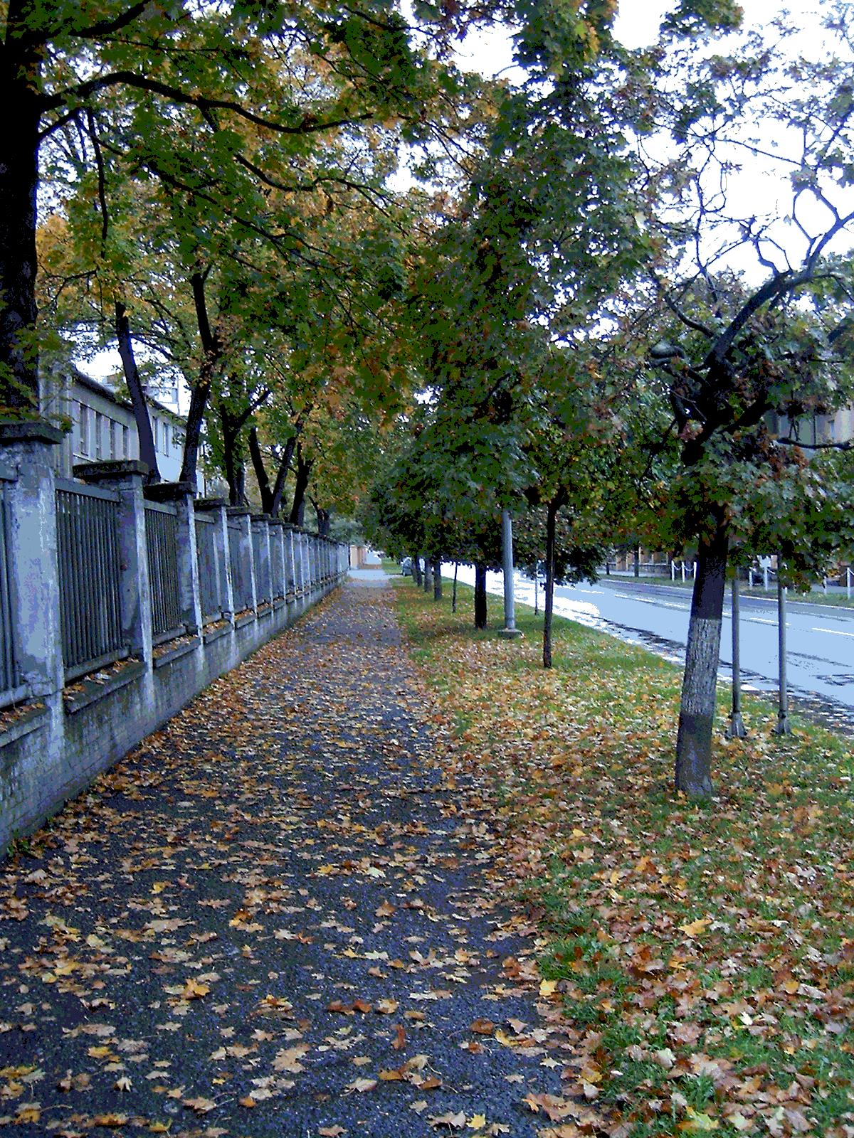 Cesta Podzimem