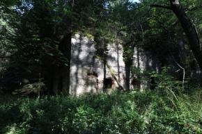 Objekty v krajině zasazené - obklopeno lesem