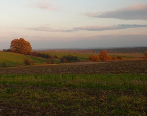 Jan Bainar - Podzim v polích