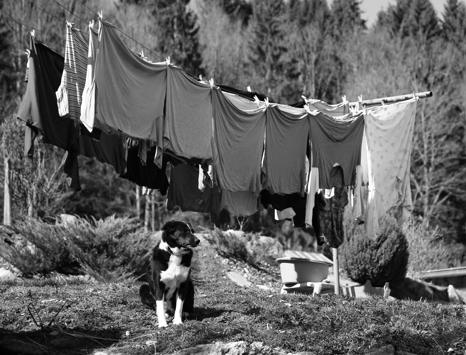 Hlídač prádla