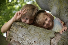Děti a jejich svět - Za stromem