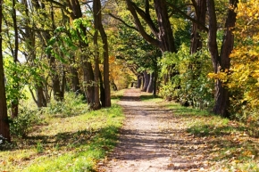 V přírodě - Podzimní cesta