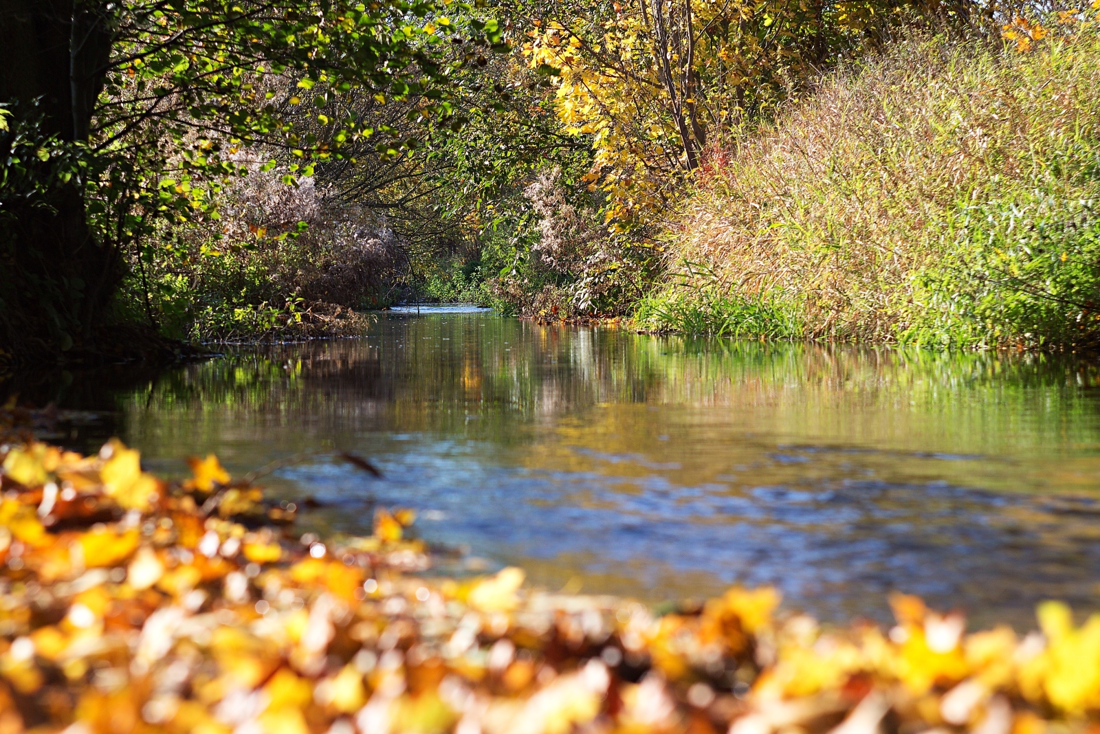 Podzimní potok ll