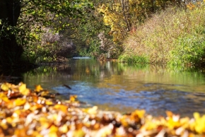 V přírodě - Podzimní potok ll