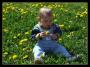 Filip