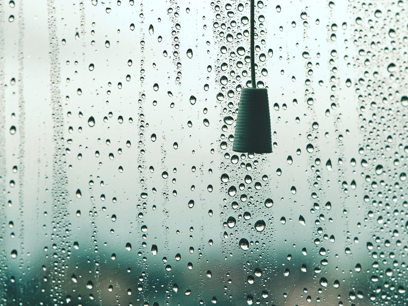V dešti