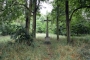 Radka Kalinová -Kříž v lese