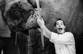 Iva  Zimova - Slon a jeho přítel, Mexický cisrkus