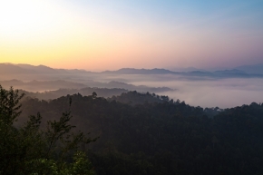 Fotograf roku v přírodě 2018 - Východ slunce v deštném pralese nad Kaeng Krachan