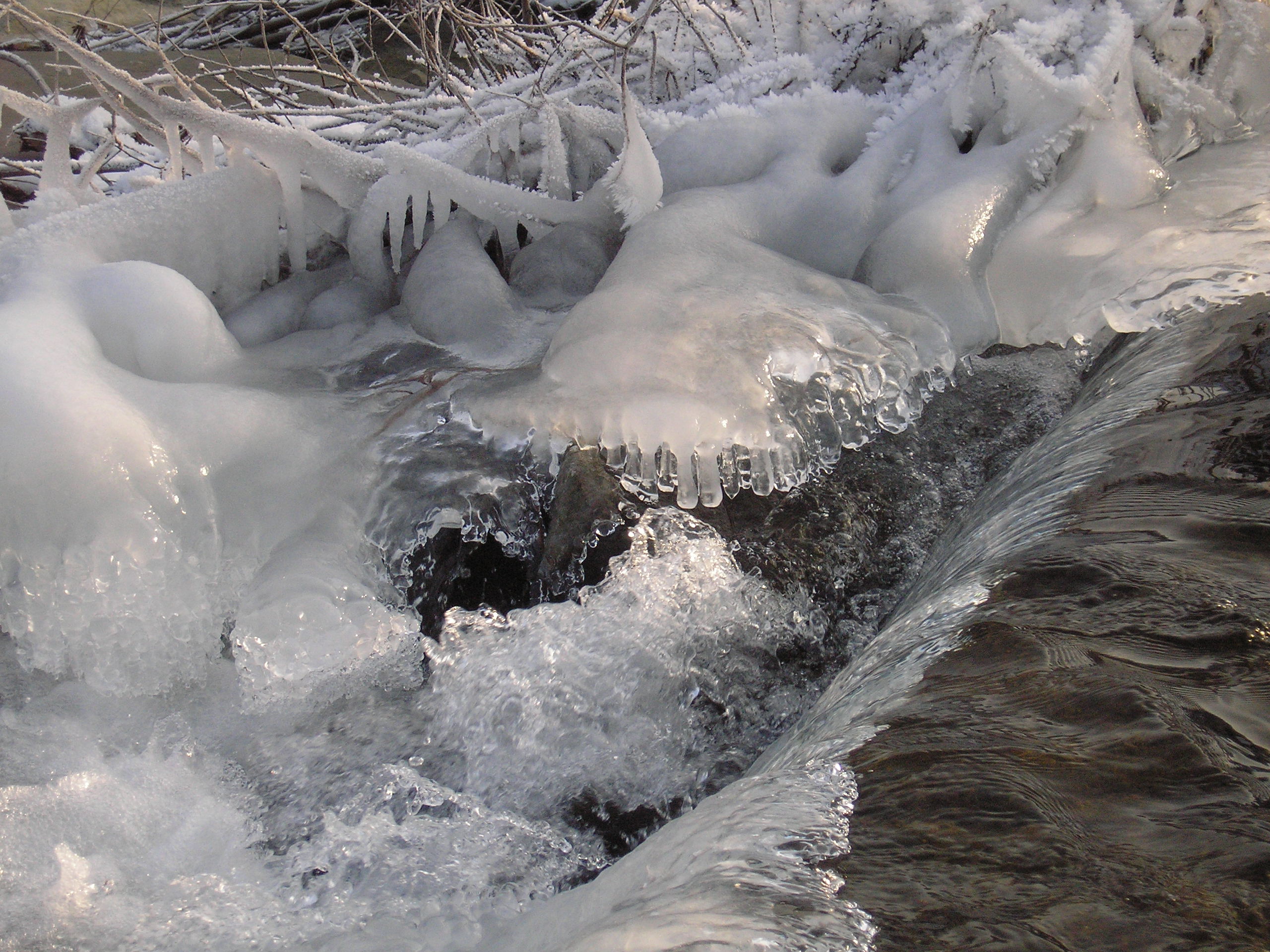 Pstruhový potok v zimě