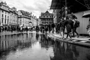 V ulicích - Fotograf roku - Junior - VII.kolo - Praha v dešti