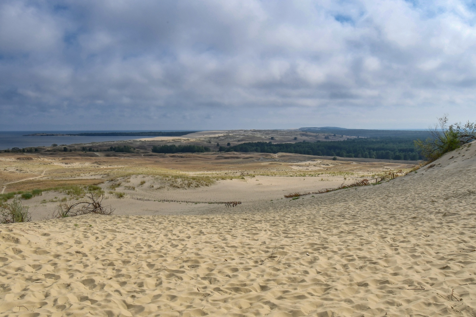 Písečné duny 4