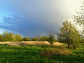 V přírodě - Před bouří