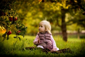 Překrásný svět dětí - Jablka