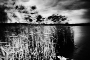 Černobílé snění - Rozfoukaná u rybníka