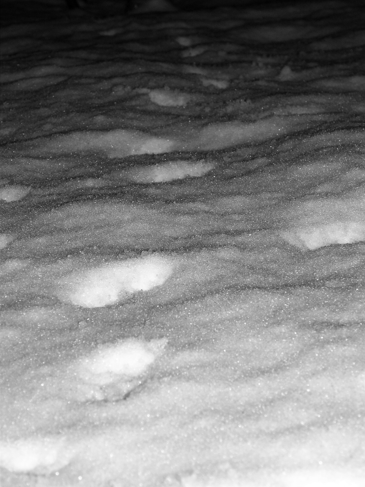 Brouzdání sněhem do noci