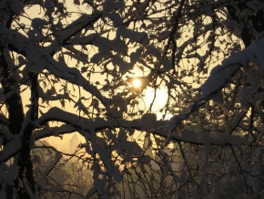 A zima je krásná - Světlo na lepší časy