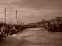 Dead land