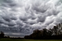 Šimon Rogl -Mammatus cloud 